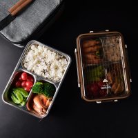 1.1L-三格咖啡色-T5300 日本泰福高304不锈钢餐盘分格带盖学生保温饭盒分隔型上班族餐盒