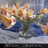 透明条纹矮款,收藏加购优先发货 轻薄拉丝款 ins风玻璃花瓶透明水养百合花瓶摆件客厅插花干花北欧家用特大号