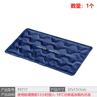 P3717蓝色冰片(1个) P3717*1 UNIKEYBOX冰盒冷板冰袋冰片甜点保温冰袋 蓄冷冰板保温箱冰排冷媒