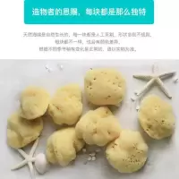 丝绒瑕疵 8cm(介意勿拍) 希腊天然海绵洗脸洁面卸妆清洁婴儿丝绒洗泥面膜