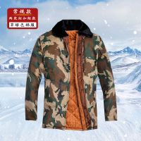 草绿 常规款[纽扣 无帽] 小号[100-130斤] 冬季棉袄男加绒加厚防寒保暖迷彩棉衣男士冷库工作服劳保服棉大衣