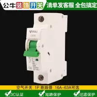 1P空开 16A 公牛漏电保护器空气开关小型断路器家用空开电闸开关16A32A40A63A
