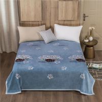 艺雅清芳 120x200cm可铺可盖910g 绒面床单单件珊瑚绒毯子毛毯法莱水晶法兰绒被单毛绒加绒厚款铺