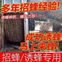 独家诱蜂膏300ml(送蜂蜡+秘籍) 诱蜂水 野外 招蜜蜂引蜂蜂王信息素诱蜂液膏招蜂水收捕野蜜送蜂蜡