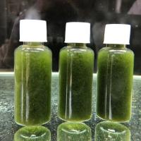 套餐一2藻石1瓶浓缩原液 鱼缸造景 短绒藻引藻 苏虾白袜 金鱼兰寿泰狮 乌龟缸