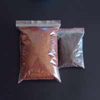 小包蜗牛椰土 宠物白玉蜗牛大小活体套装巨型观赏学生科学实验巨型褐云玛瑙螺