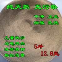 5斤冬眠免洗乌龟沙 天然免洗乌龟沙玩具沙鱼缸造景乌龟用品冬眠产蛋孵化细沙爬宠垫材