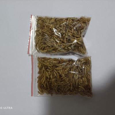 面包虫干30克试吃装(量很少) 面包虫干 适用仓鼠金丝熊刺猬龙猫观赏鱼乌龟鹦鹉等各类小宠