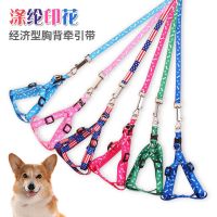 随机款(颜色随机) S码1.0(建议3-6斤) 潮品 可调节防挣脱 猫咪牵引绳 日式和风牵引绳 猫绳 猫背带牵引