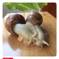 饲料250克 蜗牛活体饲养土白玉蜗牛饲料蜗牛营养土蜗牛钙土蜗牛饲养钙沙钙土