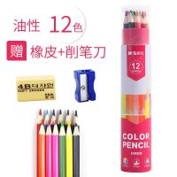 新品桶装(油性)12色 晨光彩铅油性彩色铅笔12/24/36/48色水溶性彩铅填色绘画涂色铅笔