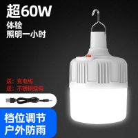 标准版-灯泡+USB线+挂钩 超60W-高亮款 停电应急家用充电灯泡超亮多功能防水夜市usb户外摆摊灯无线照明