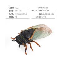 ZQ1417 儿童仿真PVC野生昆虫知了模型玩具静态实心益智早教手办玩具
