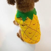 多肉菠萝 S(建议体重3-5斤) 抹茶水果马甲卫衣小狗狗衣服春秋款猫咪宠物约克夏比熊泰迪秋冬装