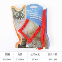 猫链红色 猫链兔链猫咪使用牵引绳拴猫绳溜猫绳成猫胸背带猫链子成猫猫用品