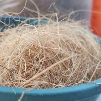 椰棕丝250克 椰子壳食盆宠物龙猫仓鼠魔王兔子防咬耐啃磨牙椰棕丝垫窝铺面