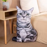 美短 30厘米猫咪抱枕(收藏优先发货) 仿真猫咪抱枕喵星人公仔靠垫儿童生日礼物逗猫神器宠物玩具