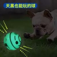 10CM夜光球 夜光耐咬宠物玩具小狗2-8个月狗狗玩具磨牙发声球幼犬金毛泰迪狗