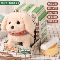 金毛[彩色小屋+狗盆+骨头+狗绳] 电池款[送电池+螺丝刀] 儿童电动毛绒玩具狗狗走路会叫会唱歌跳舞宝宝男女孩仿真玩具小