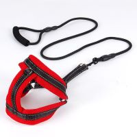 红黑色 S(建议5-12斤) 狗狗牵引绳泰迪小狗幼犬小型犬中型犬比熊狗链子遛狗牵引绳背心式