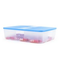 3.3升冷冻盒-[单个] 特百惠冷冻保鲜盒3.3l大容量长方形冰箱储藏盒水果蔬菜鱼肉收纳盒