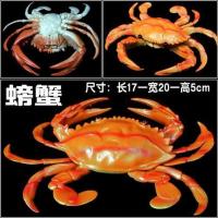 桔红色 大号BB哨软胶仿真龙虾螃蟹模型玩具塑胶静态海洋动物儿童认知礼物