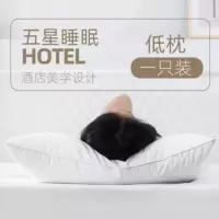 五星[低枕]单只装 洗浴中心双人客房枕头医院睡觉病房回弹枕芯卧室羽丝绒助睡眠客栈
