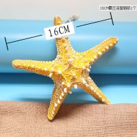 16CM海星随机一个 16CM仿真树脂海星6件套壁饰地中海风格装饰品拍照道具小孩房装饰