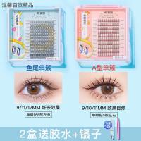 随机一盒拍错不负责 Mr.wish/心愿先生鱼尾朵毛A型仙子毛组合一次性假睫毛