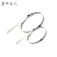 墨中正人不锈钢扎带zd1300根