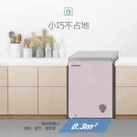 容声BD/BC-100MH冷藏冷冻双温切换八档变温单门100升家用小冷柜