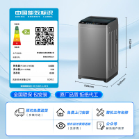 海尔(Haier)波轮洗衣机小型全自动家用 8公斤容量 一体盖全桶换风 宿舍出租房 EB80Z33Mate1