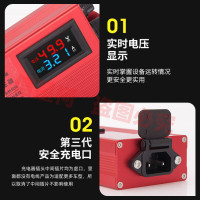 第十代电动车定时稳压器充电保护器电瓶增加里程爬坡有劲省电