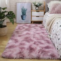 北欧ins加厚家用可爱卧室床边床前地毯客厅茶几地垫满铺毛毛绒毯