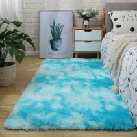 北欧ins加厚家用可爱卧室床边床前地毯客厅茶几地垫满铺毛毛绒毯