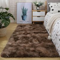 北欧ins加厚家用可爱卧室床边床前地毯客厅茶几地垫满铺毛毛绒毯