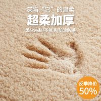 色加厚地毯卧室床边毯脚垫家用毛毯地垫客厅沙发茶几毯飘窗垫