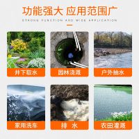 直潜水泵12v24v48v60v伏家用电瓶车 电动车小型农用灌溉抽水机