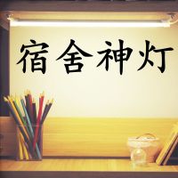 大学生宿舍灯 led书桌护眼台灯寝室学习酷毙灯 可充电usb灯管