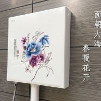 冲水箱水箱浴室便盆冲水箱卫生间蹲坑水箱蹲便器水箱家用