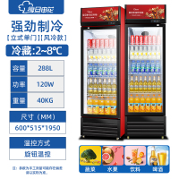 复旦申花冷藏展示柜单门饮料柜冰箱立式商用保鲜冰柜啤酒柜 单门风冷饮料展示柜288L 下机组黑红色