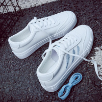 枫述秋季薄款网红小白鞋女2021年新款春款春装百搭运动板鞋球鞋子