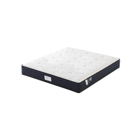 [掌上明珠]秋季新品 15-CD06007-R睡美人床垫