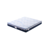 [掌上明珠] 315新品 15-CD08007-S焕能深睡独立簧 抗菌 记忆棉 床垫