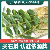 依源 铁皮石斛枫斗鲜条花茶种植特级养生铁皮枫斗石斛中药材 鲜条带叶250g