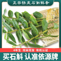 依源 铁皮石斛枫斗鲜条花茶种植特级养生铁皮枫斗石斛中药材 鲜条光杆(不带叶子)50g