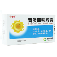 午时 肾炎四味胶囊 0.5g*48粒/盒 慢性肾炎活血化瘀清热解毒补肾益气