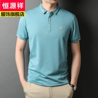 恒源祥品牌夏装刺绣标短袖T恤男士T恤polo衫时尚休闲翻领男式体恤薄新款