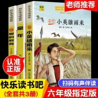 六年级上册必读书(3册) 六年级下鲁滨逊漂流记骑鹅旅行记汤姆索亚历险记快乐读书吧必读