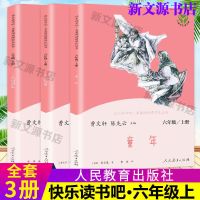 (六年级上册) 全套3本 人教版快乐读书吧六年级上册全套爱的教育童年小英雄雨来必读